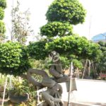 2.5m Tree Shaped Strange Root Banyan Tree (2)