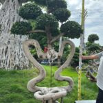 2.8m Chair Style Bonsai Tree (3)