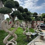 2.8m Chair Style Bonsai Tree (4)