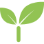Tree sapling