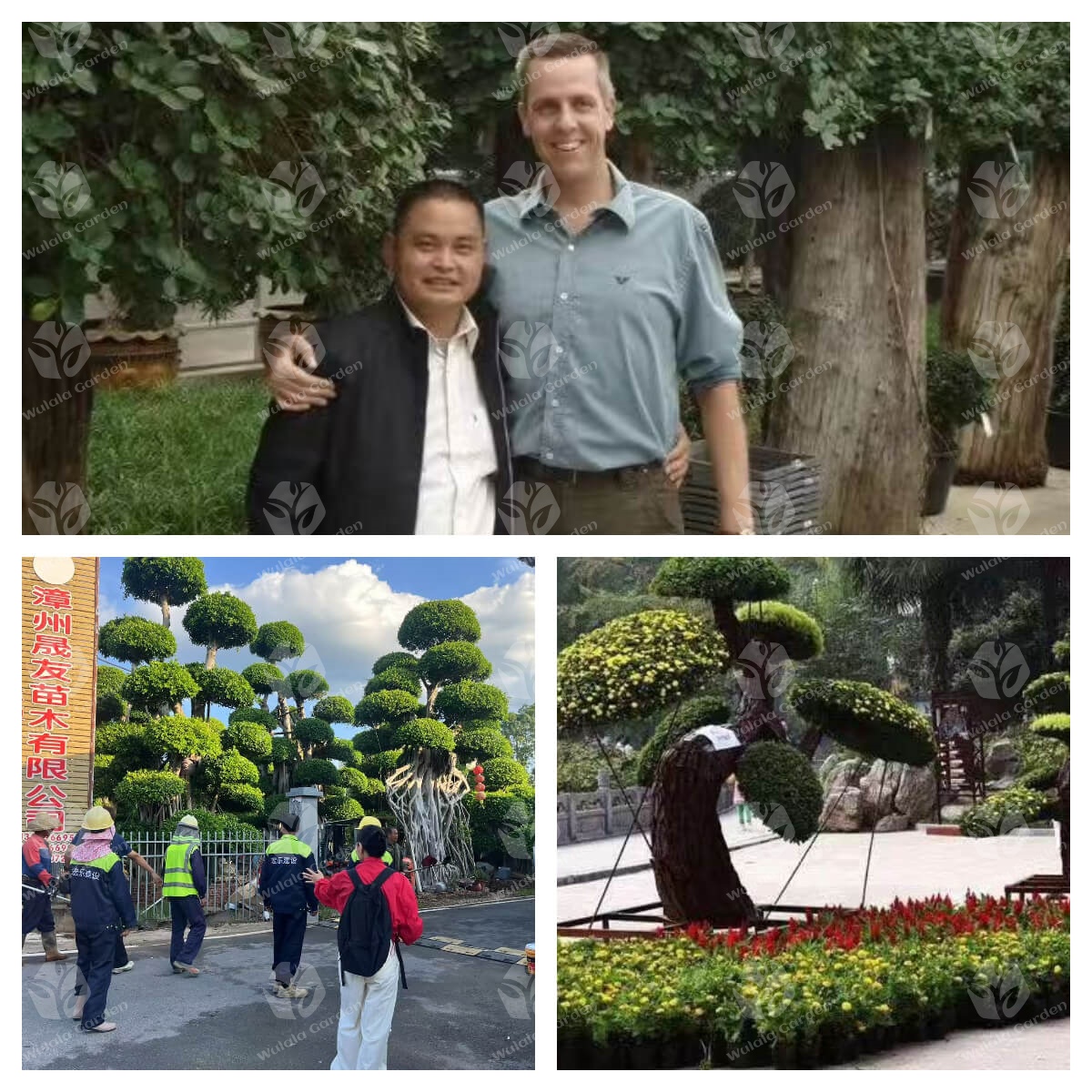 Wulala Garden Company (1)