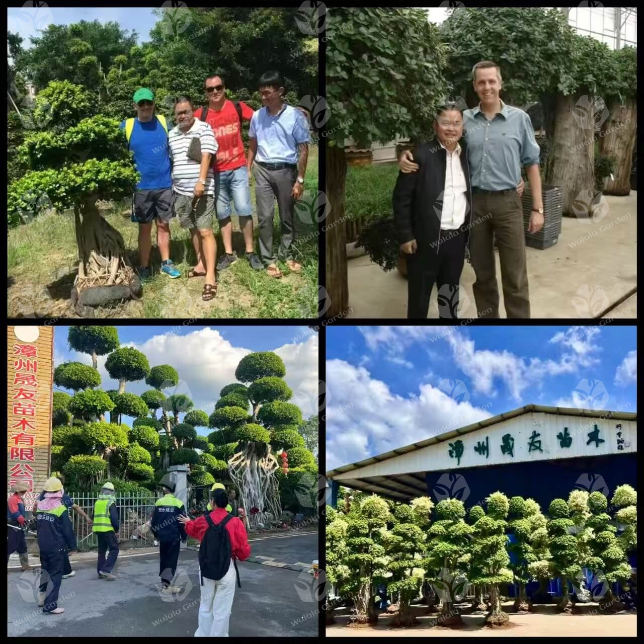 Wulala Garden Company (4)