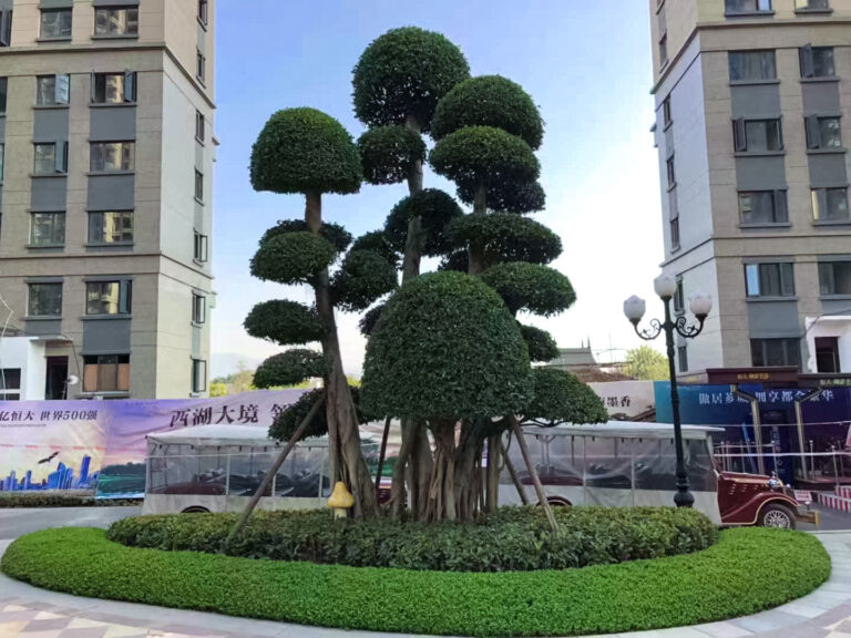 Zhangzhou Evergrande Imperial View (1)