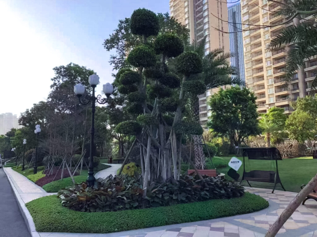 Zhangzhou Evergrande Imperial View (1)