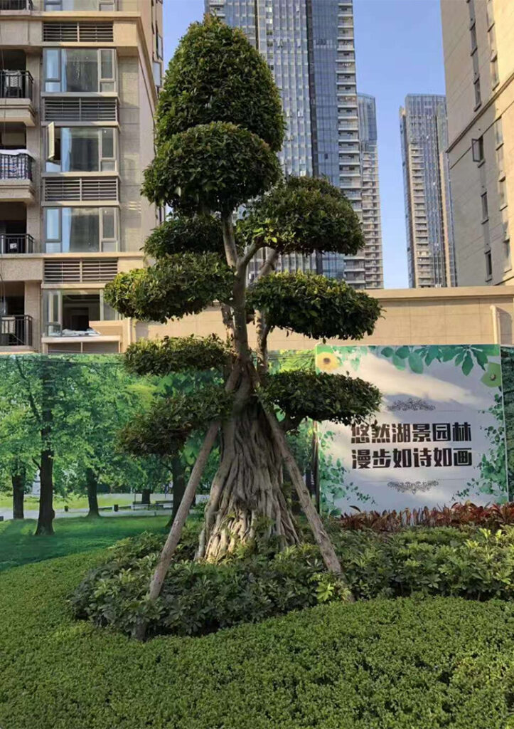 Zhangzhou Evergrande Imperial View