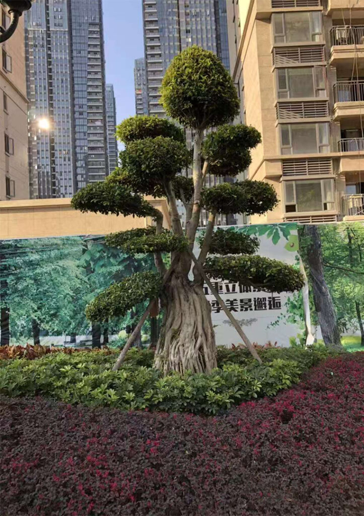 Zhangzhou Evergrande Imperial View1